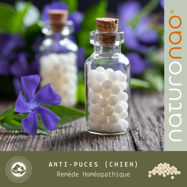 Acheter le remède homéopathique combiné pour en finir avec les puces.