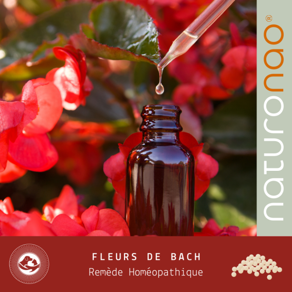 Essayez nos fleurs de Bach (anxiété et stress) pour votre chien et votre chat.