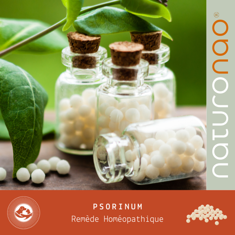 Psorinum Homéopathie Chien & Chat | Soin Naturel de la Peau