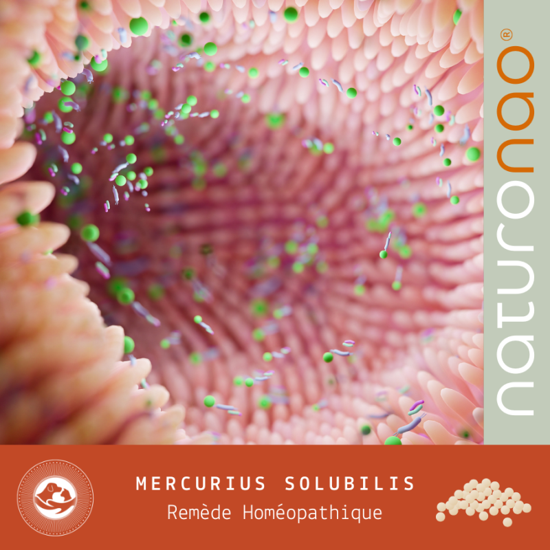 Mercurius Solubilis | Homéopathie Naturelle Pour Infections