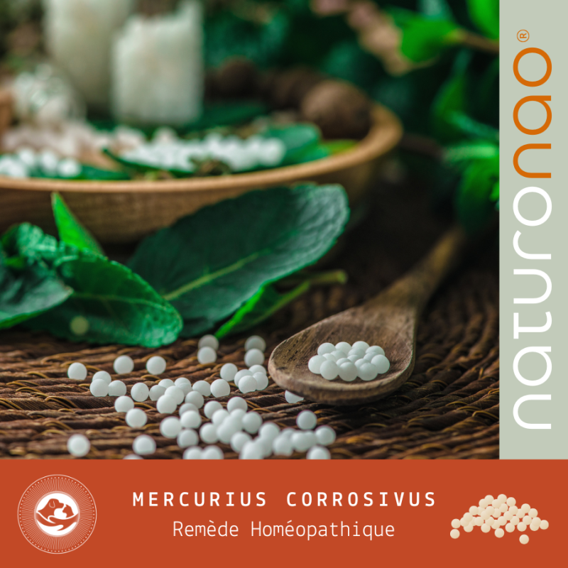 Mercurius Corrosivus Homéopathie Chien | Inflammations Buccales