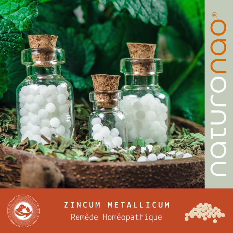 Zincum Metallicum | Soin Homéopathique Chien du Système Nerveux