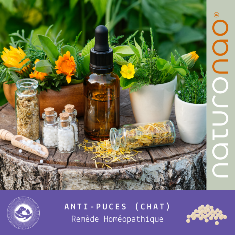 Acheter le remède homéopathique combiné anti-puces pour votre chat et chaton.