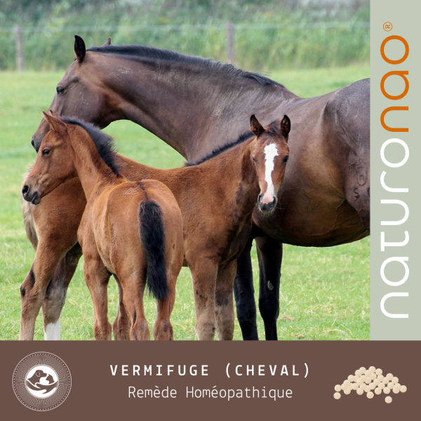 Acheter le remède homéopathique combiné pour vermifuger naturellement  votre cheval.