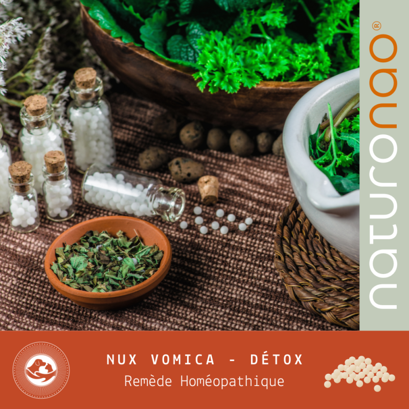 Nux Vomica Homéopathie | Détoxifiant Puissant pour Chien & Chat
