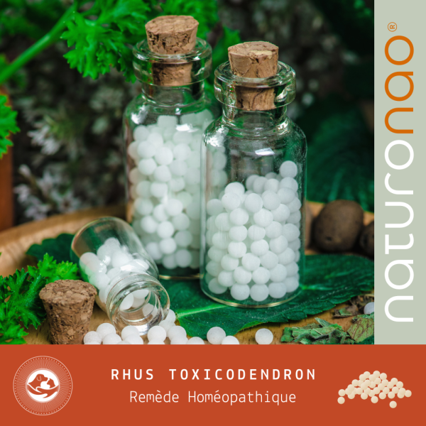 RHUS TOXICO HD (Végétal)