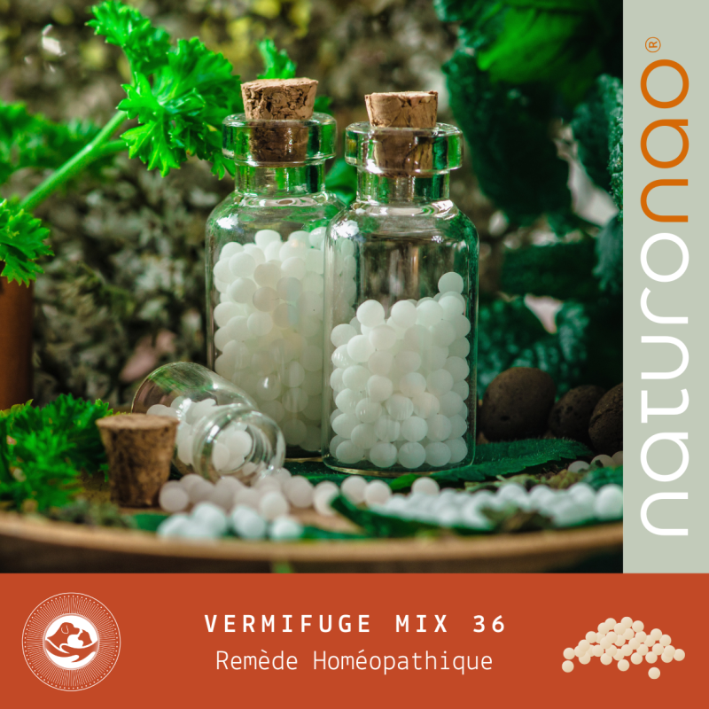 MIX 36 | Préparation Homéopathique Type Vermifuge