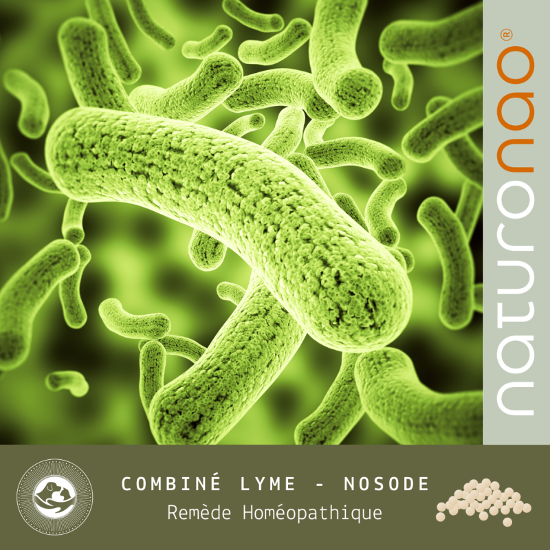 BORRÉLIA Burg/Lyme (Animaux)