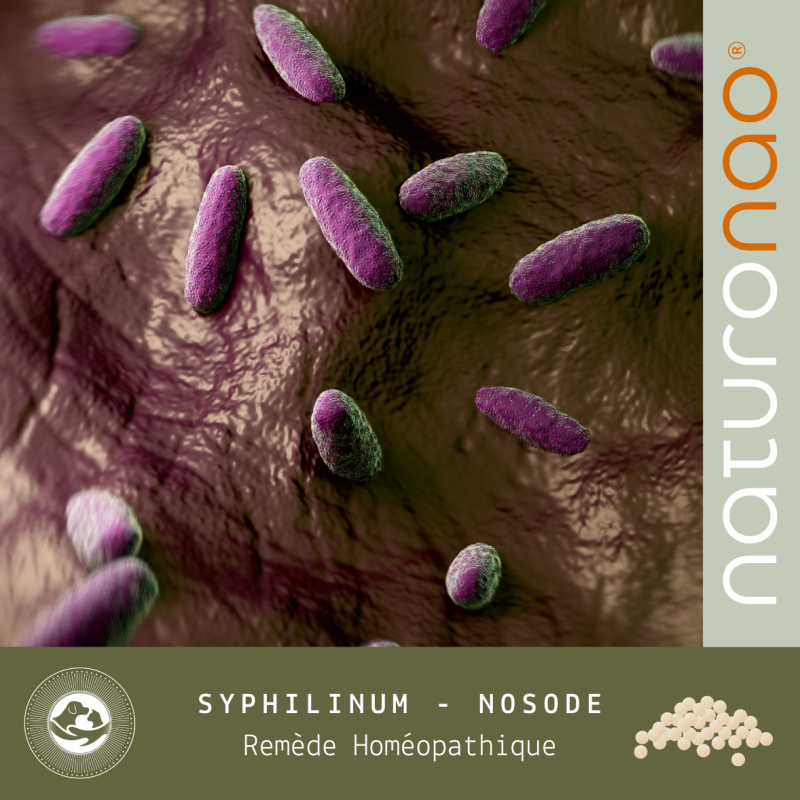 Syphilinum | Soutien Lyme et Infections Chroniques