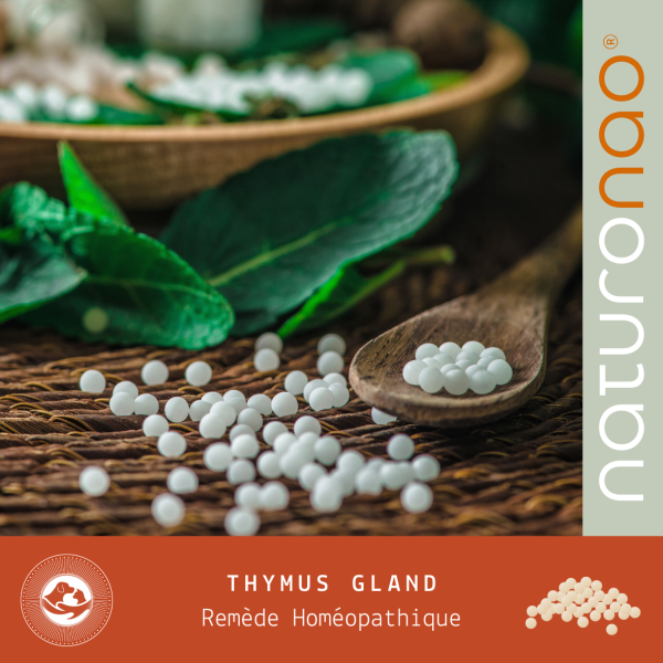 THYMUS GLAND (Animal)