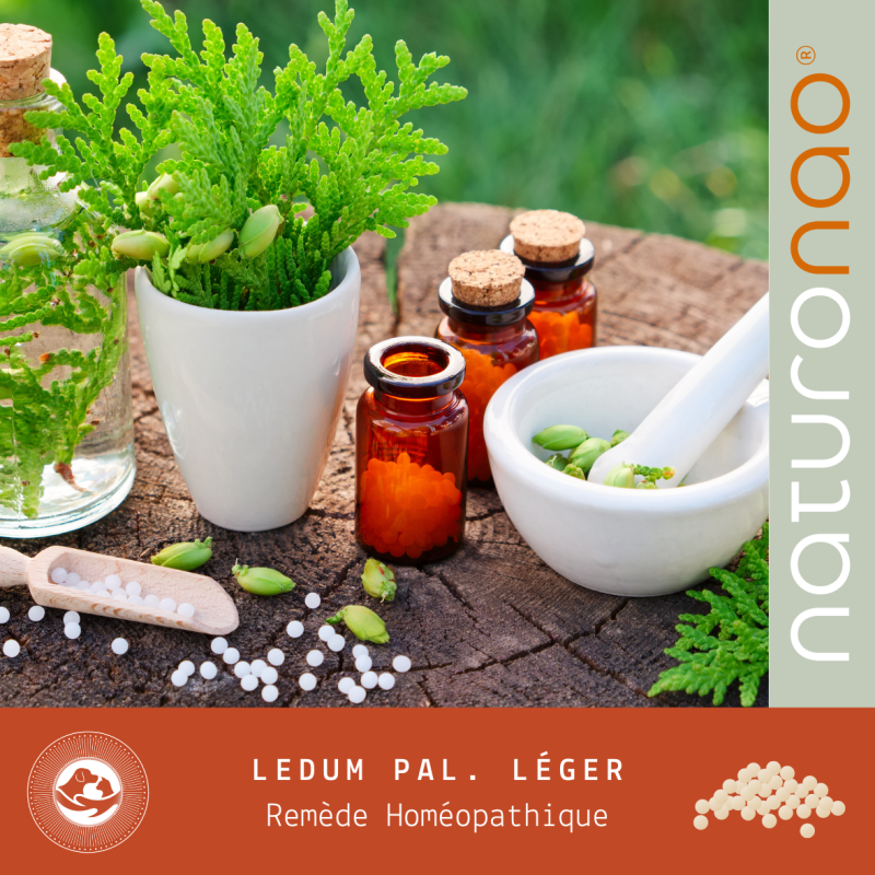 LEDUM PALUS. (MD Animaux)