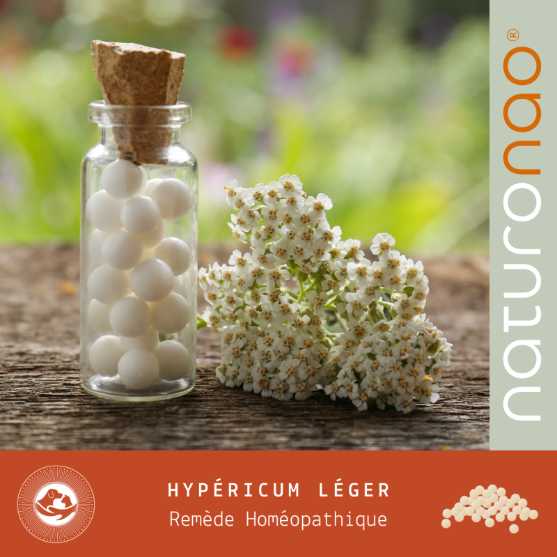 HYPÉRICUM Léger (Recharge)
