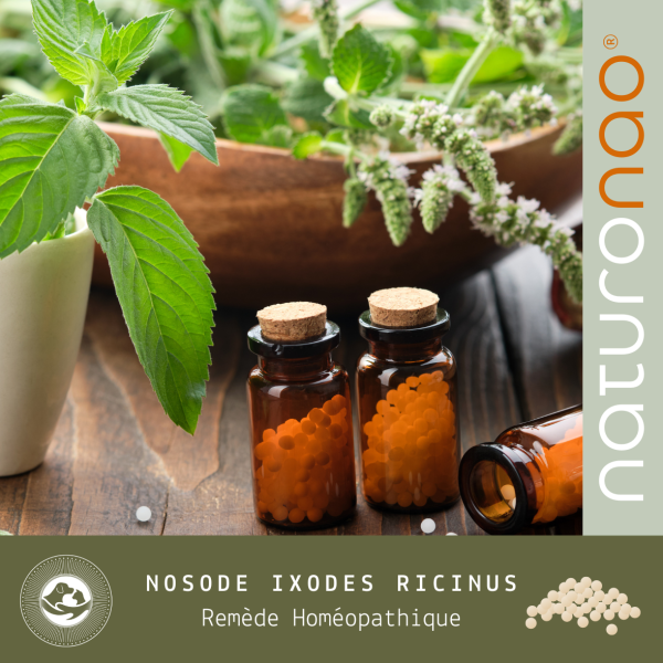 IXODES Ricinus (Recharge)