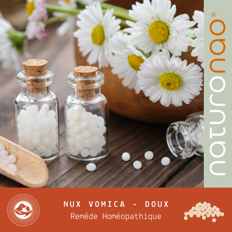 NUX VOMICA AIGUS (Végétal)