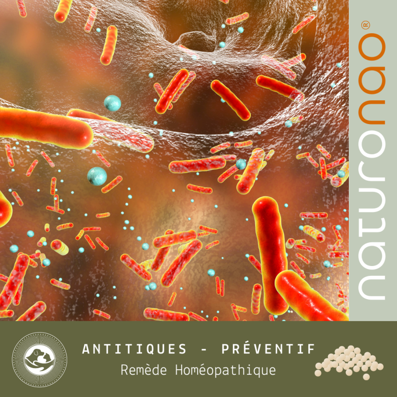 Acheter le remède homéopathique combiné anti-tiques pour votre chien.