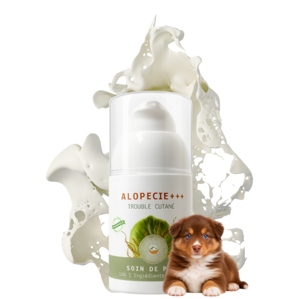 Acheter DOG ALOPECIE pour la chute de poils excessive de votre chien.