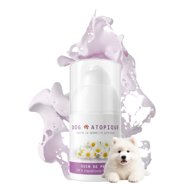 Acheter la crème traitante de la gamme DOG ATOPIQUE pour traiter la dermatite et l’eczéma de votre chien.