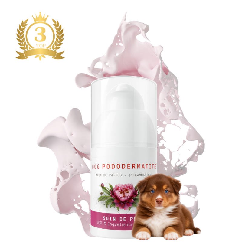 PODODÉA™ – Routine Pattes Chien | Pododermatite