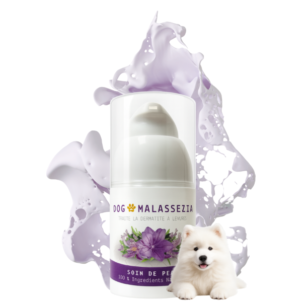 Traiter les levures à Malassezia  de votre toutou avec DOG MALASSEZIA de chez NaturoNao.