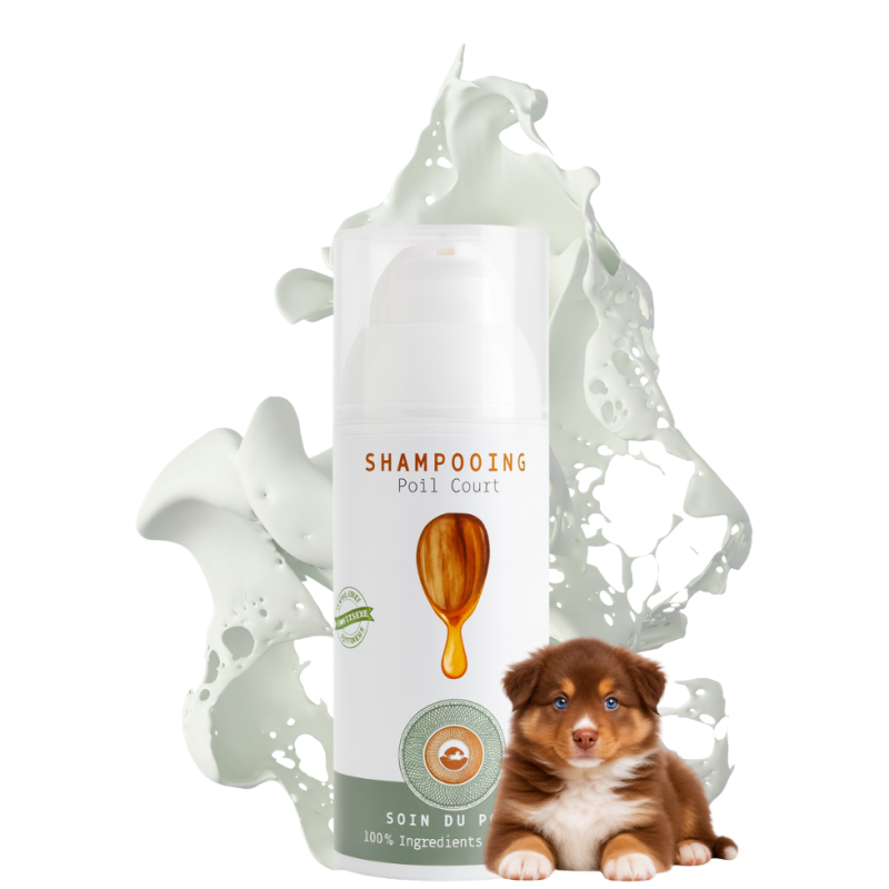 Shampooing Poil Court Chien | Soin Hydratant & Nettoyant