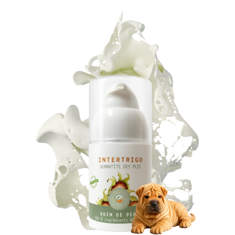 Notre flacon crème Intertrigo NaturoNao pour traiter naturellement l'intertrigo du chien.