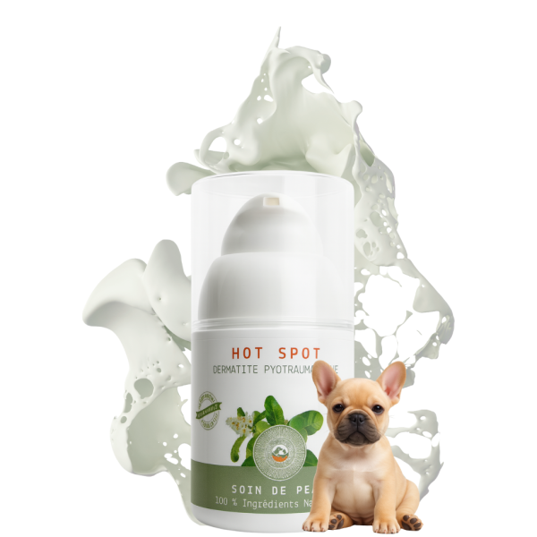 Acheter notre crème HOT SPOT NaturoNao pour traiter naturellement la dermatite de votre chien.
