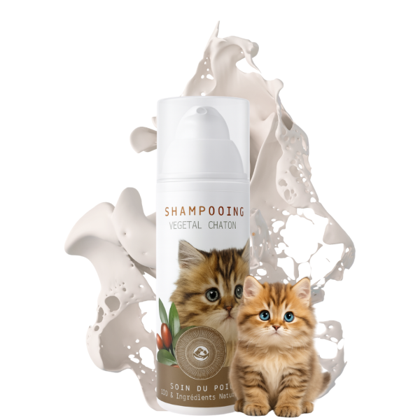 Shampooing pour chaton NaturoNao.