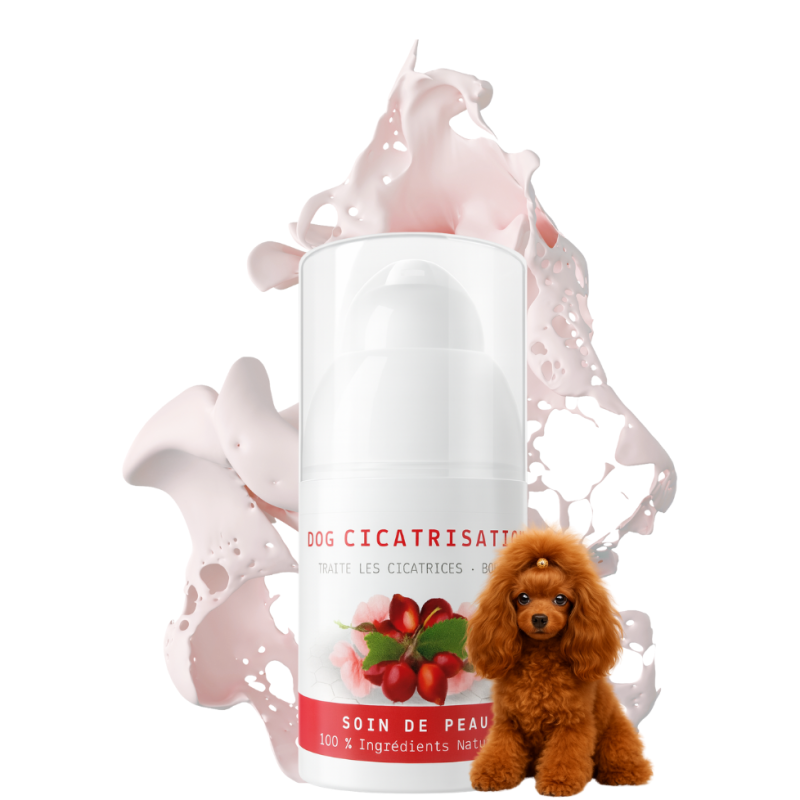 Dog Cicatrisation traite toutes les cicatrices de votre chien et même les plus tenaces.