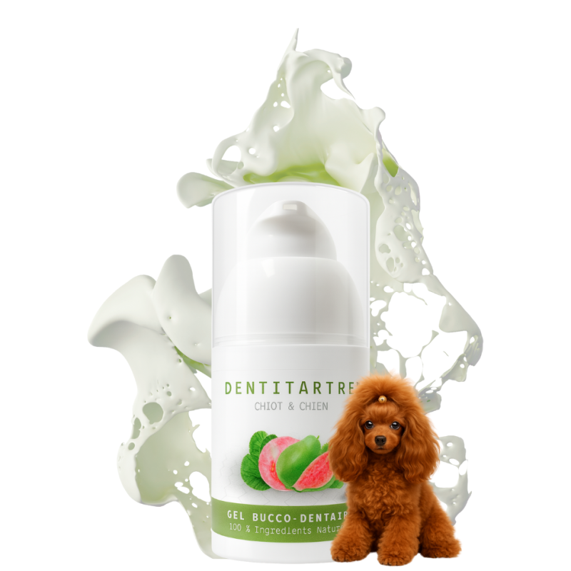 Dentifrice Naturel Chien – Hygiène Buccale & Prévention Tartre