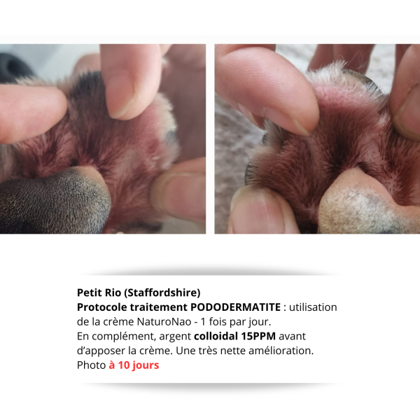Témoignage début protocole soin PODODERMATITE (à 10 jours) Nette amélioration