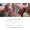 Témoignage début protocole soin PODODERMATITE (à 10 jours) Nette amélioration