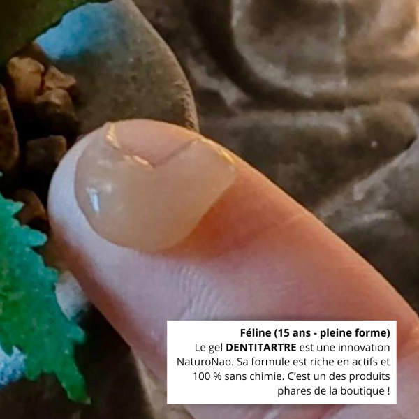 Un gel Dentitartre unique pour vos chats, sans chimie et très facile d'application. Un vrai régal pour nos félins.