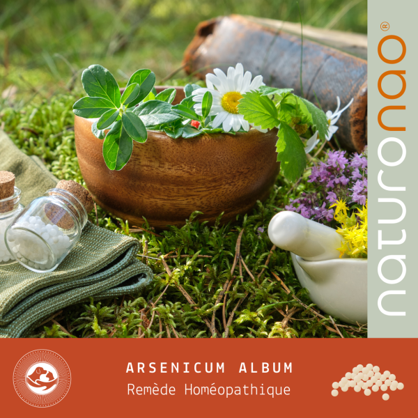 ARSENICUM ALBUM MD (Minéral)