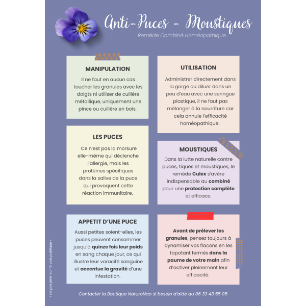 GRANULES Anti-puces (Chat)
