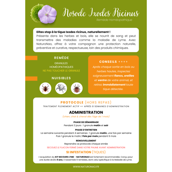 IXODES Ricinus (Recharge)