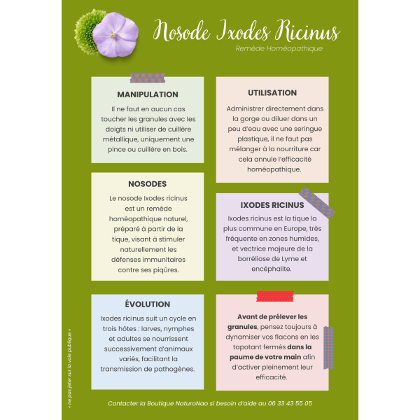 IXODES Ricinus (Recharge)