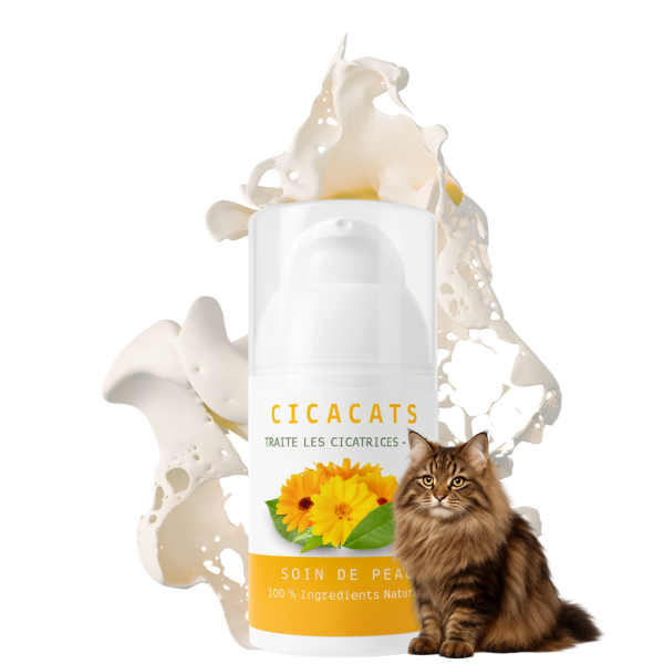 CICACATS traite toutes les cicatrices de votre chat et même les plus tenaces.
