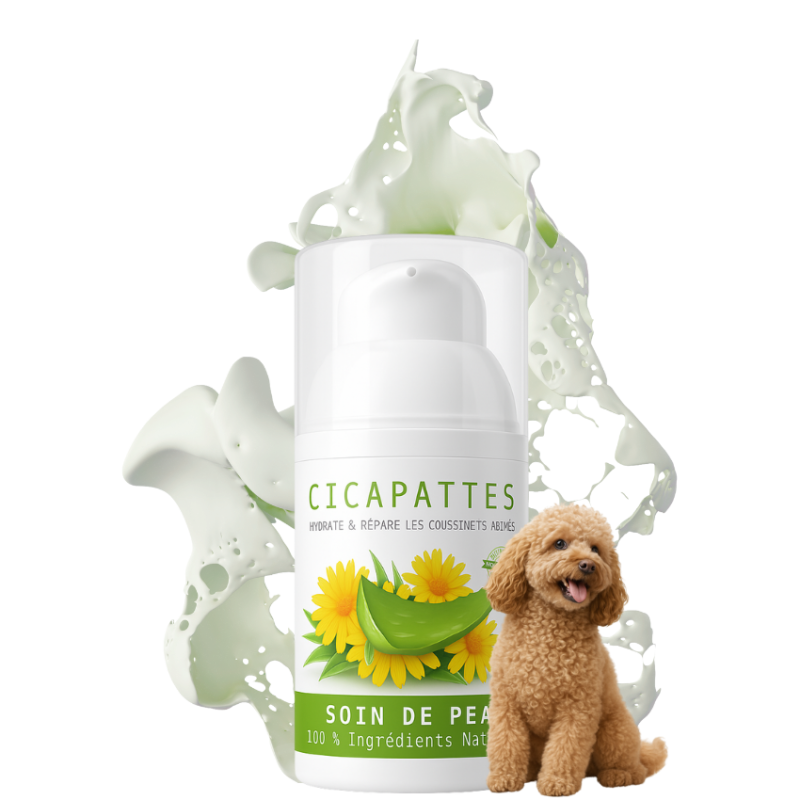 Acheter notre gel crème CICAPATTES. Hydrate en profondeur les coussinets asséchés de votre chien. Ultra efficace.