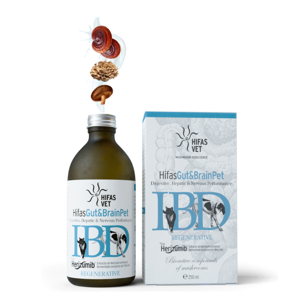 BRAINPET® Hifas Vet (Animaux)