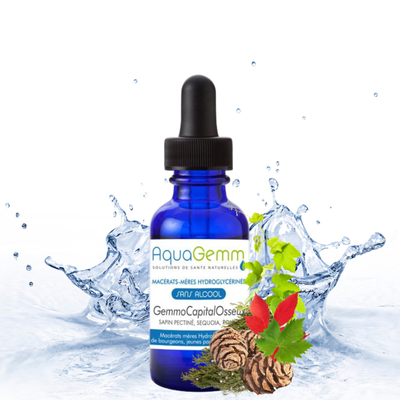 Complexe Capital Osseux Animaux | Mobilité et Souplesse Naturelle