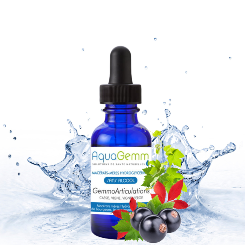 Complexe Articulations | Mobilité et Souplesse Naturelle