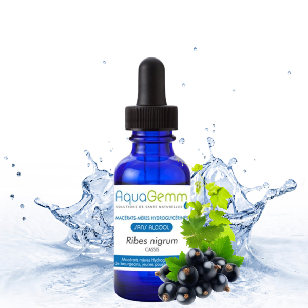 CASSIS Ribes Nigrum (Gemmo)