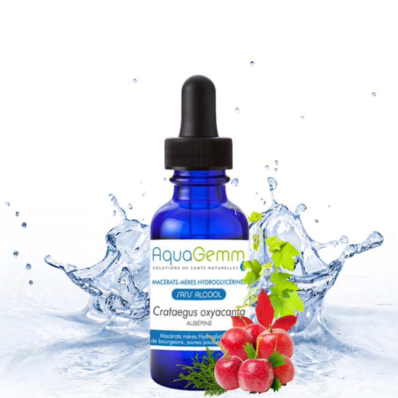 AUBEPINE Crata.Oxya. (Gemmo)