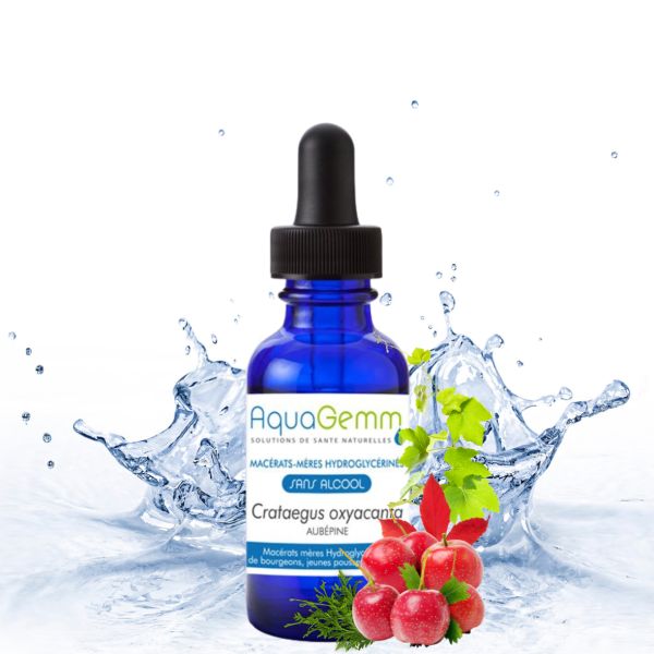 AUBEPINE Crata.Oxya. (Gemmo)