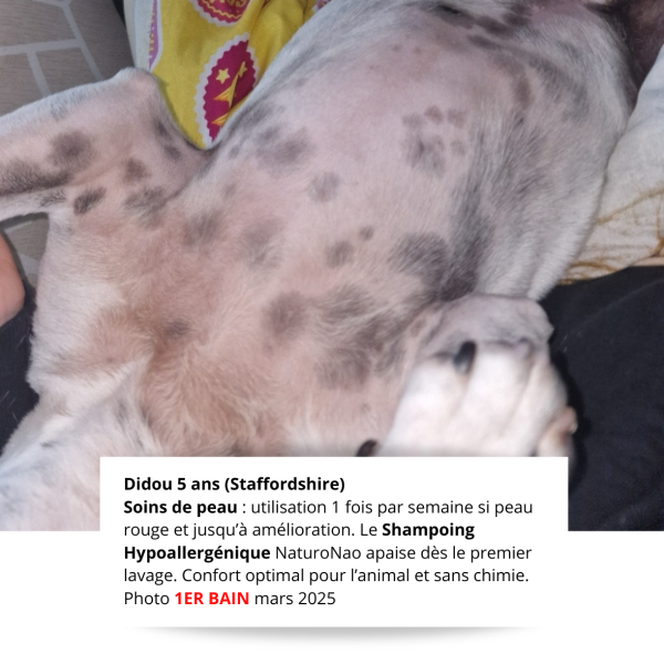 HYPOALGO™ Shampoing (Chien)