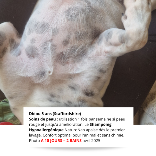 HYPOALGO™ Shampoing (Chien)