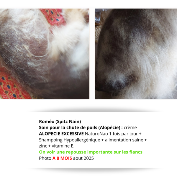 ALOPÉA™ Intense (Chien)