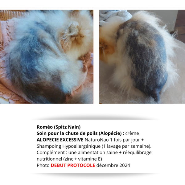 ALOPÉA™ Intensif (Chien)