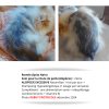 Crème ALOPÉA™ Intense | Perte de Poils et Alopécie du Chien