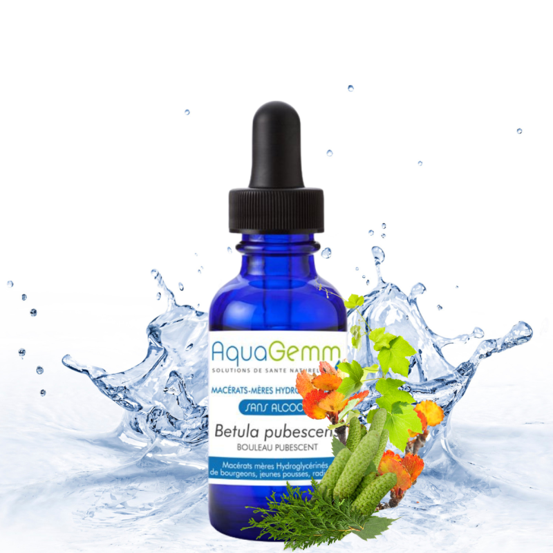 Bouleau Pubescent sans Alcool | Stimulant métabolique Animaux